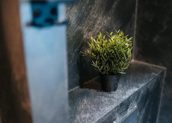 Apartament Wiedemanni 13/1 *