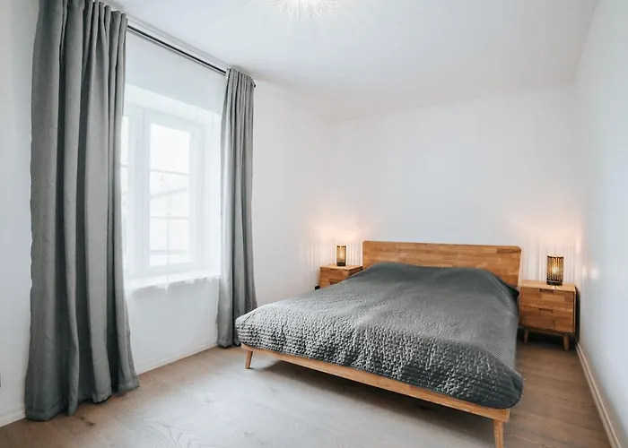 Wiedemanni 13/1 Apartament *